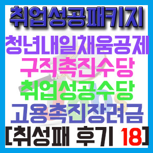 [취성패 후기 18] 3단계 취업알선 – 청년내일채움공제 구직촉진수당 취업성공수당 고용촉진장려금 안내