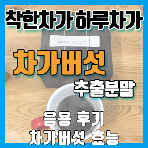 착한차가 하루차가 차가버섯 추출분말 음용 후기 – 차가버섯 효능