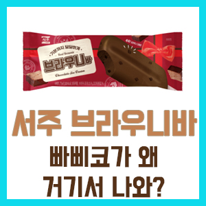 [솔직 후기] 서주 브라우니바 – 빠삐코가 생각난다면 오산? 칼로리 정보