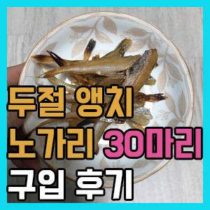[노가리 안주] 건조 두절 노가리 구입 후기 – 이것은 앵치인가 대구인가